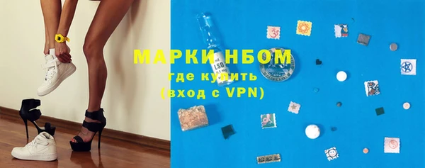 дмт Вяземский